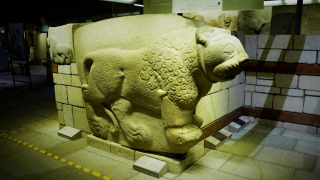 Müze Ziyaretçisi 6. Bölüm