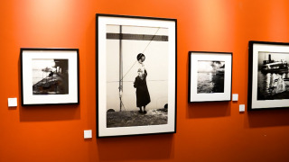 Müze Ziyaretçisi 7. Bölüm