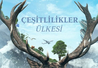 Çeşitlilikler Ülkesi