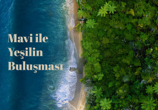 Mavi ile Yeşilin Buluşması