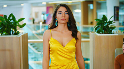 Erkenci Kuş undefined