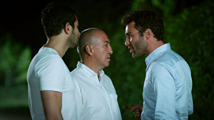 Ateşböceği undefined