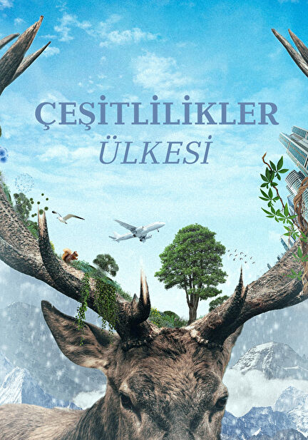 Çeşitlilikler Ülkesi