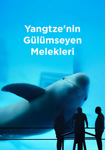 Yangtze'nin Gülümseyen Melekleri