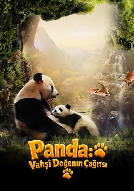 Panda: Vahşi Doğanın Çağrısı